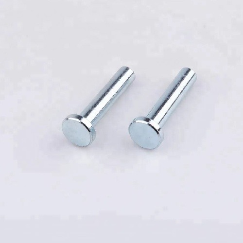 Stainless Steel Fasteners Solid Rivets Polished Round Head Fasteners Manufacturers, Suppliers in Indonesia