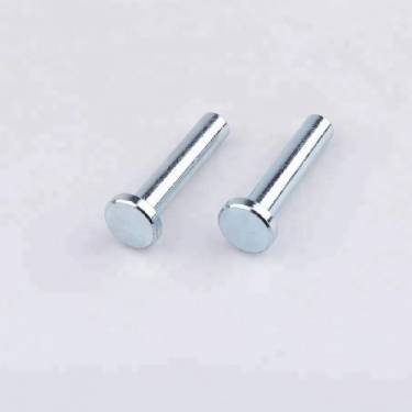Stainless Steel Fasteners Solid Rivets Polished Round Head Fasteners Manufacturers in Indonesia